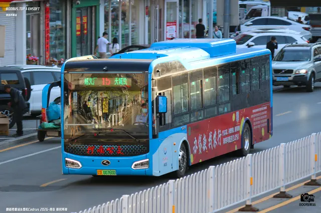 辽D 00760D