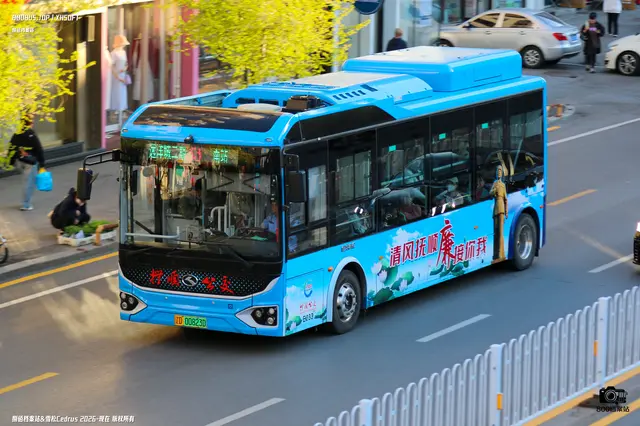 辽D 00823D