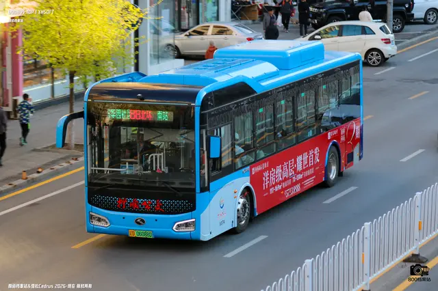 辽D 06088D