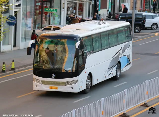 辽D 44338
