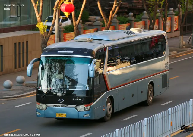 辽D C3315