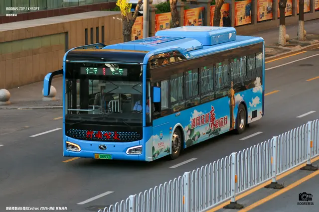 辽D 08606D