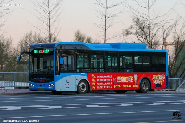 辽D 08785D