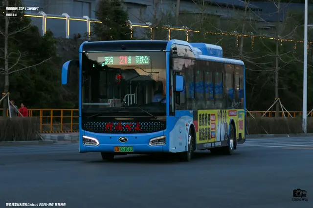 辽D 08161D