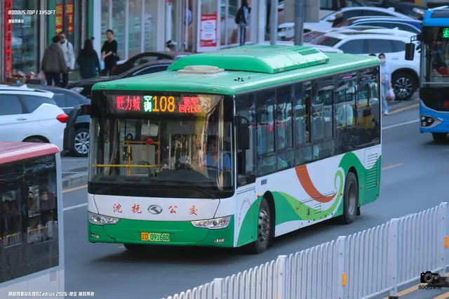 辽D 09168D
