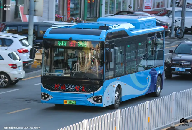 辽D 08665D