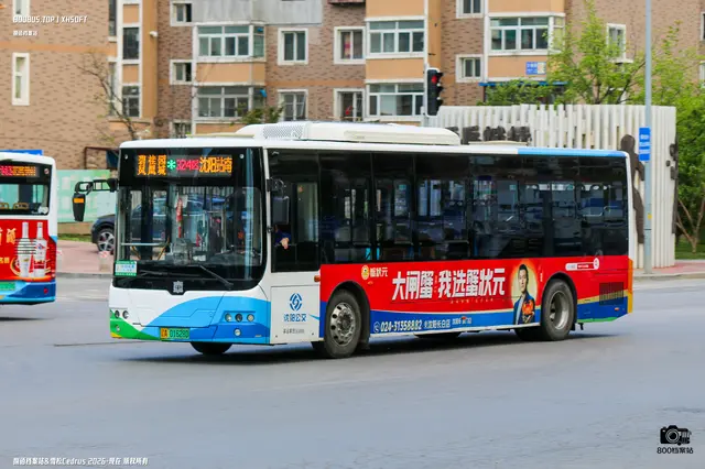 辽A 01628D