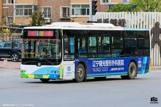 辽A 06681D