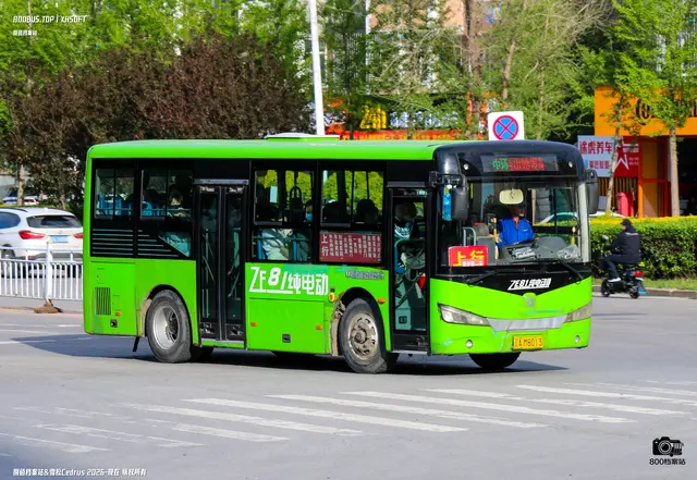 辽A M8013