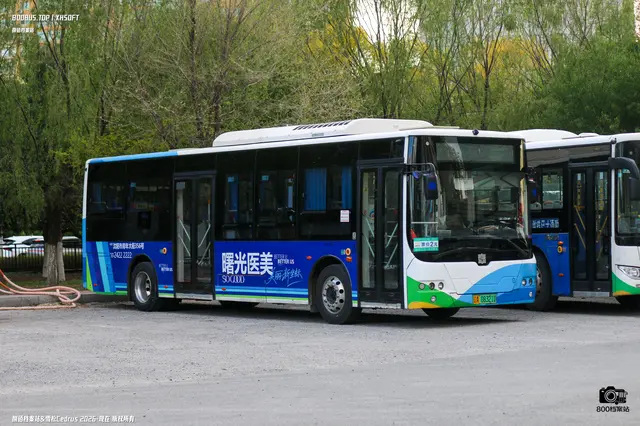 辽A 08321D