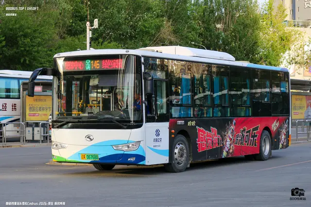 辽A 06768D