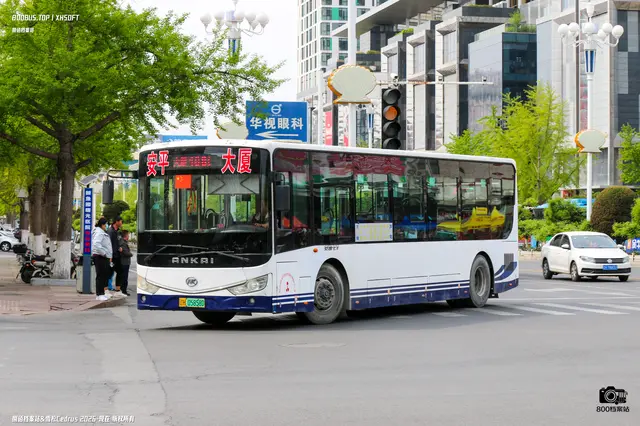辽H 05858D