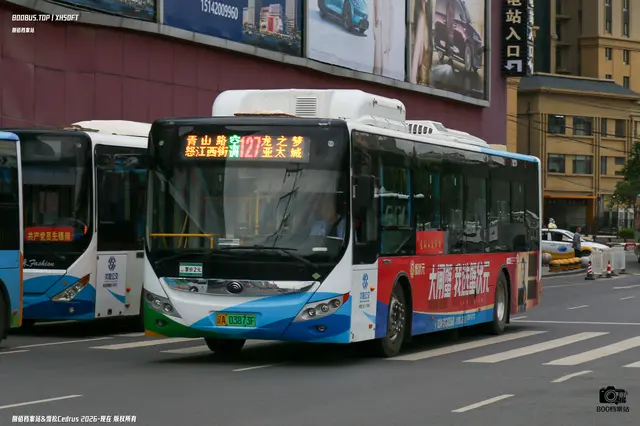 辽A 03873F