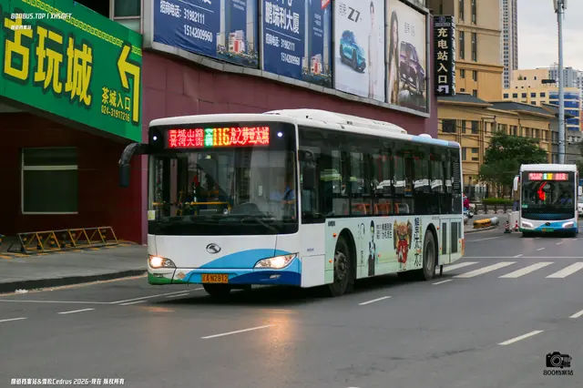 辽A N2812
