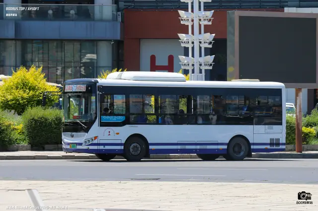 辽H 08699D