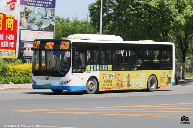 辽H 02889D