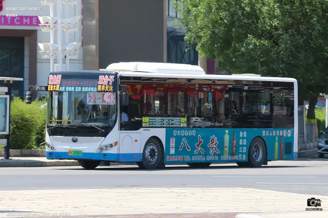 辽H 02866D