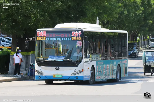 辽H 06508D