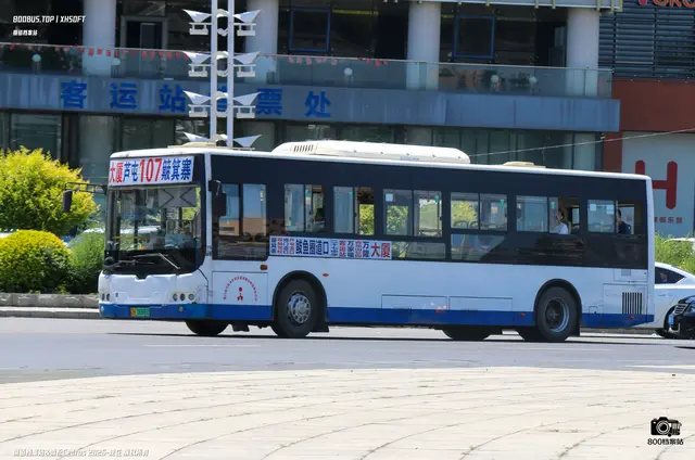 辽H 06886D
