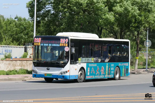 辽H 09508D