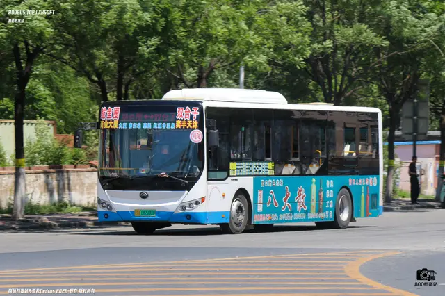 辽H 06500D