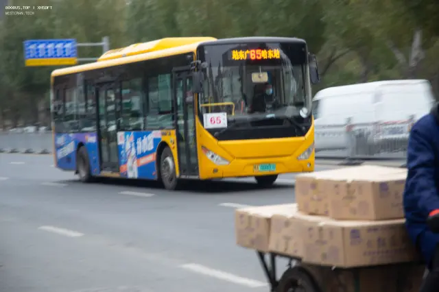 800BUS