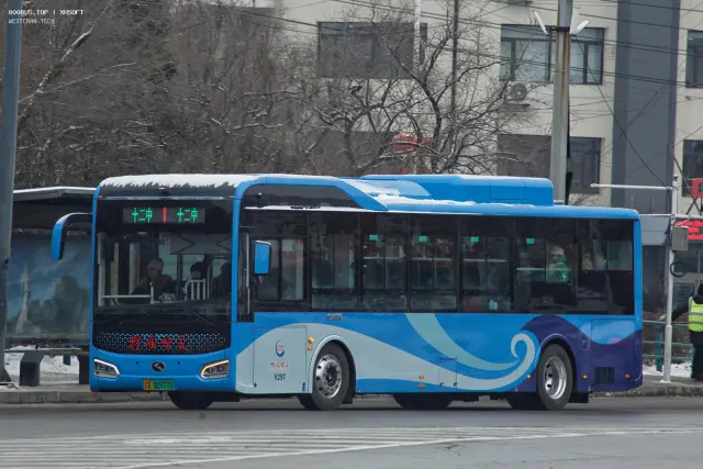 辽D·00977D