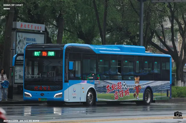 辽D 09973D