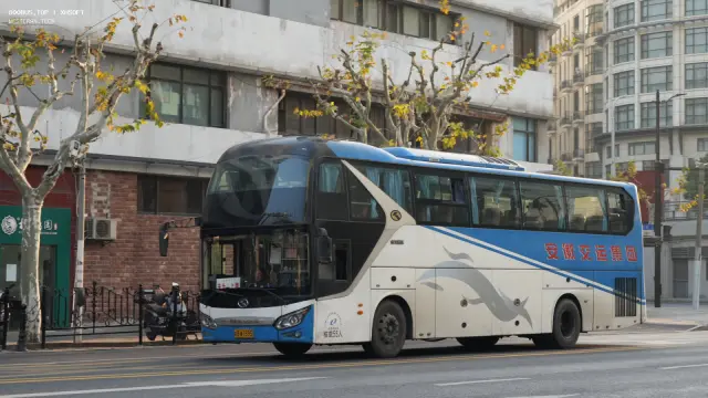 皖B·WI595