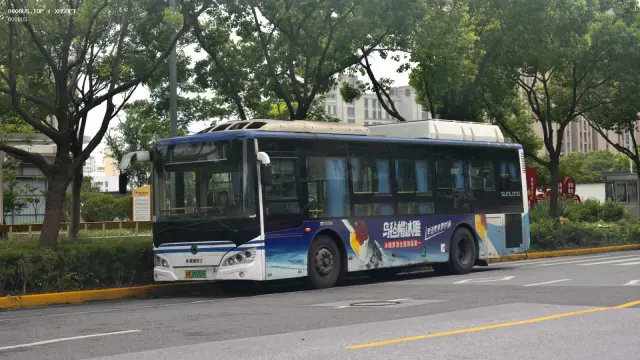 800BUS