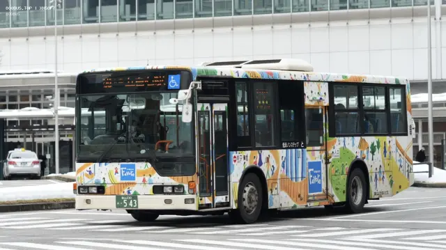 800BUS