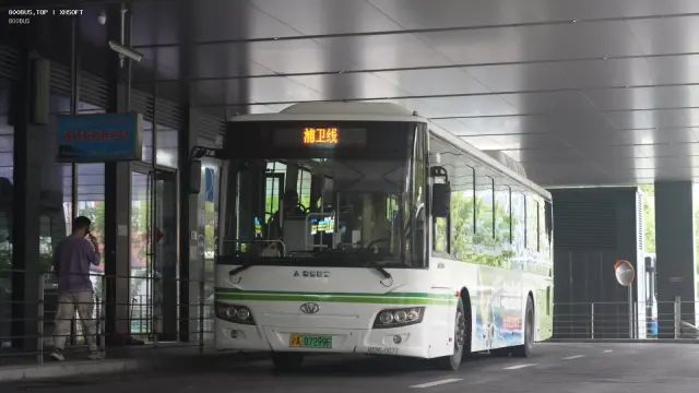 800BUS