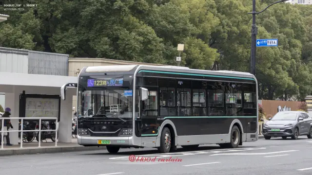 沪A 30565D