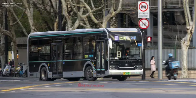 沪A 38661D