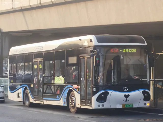 川A 10394D