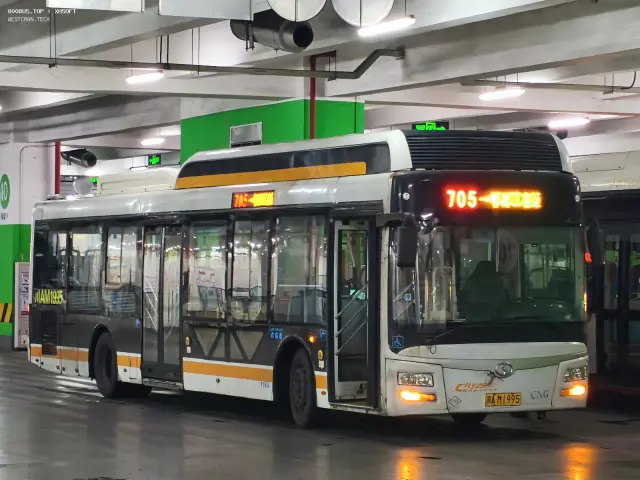 川A M1995（P3651）