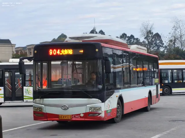 800BUS