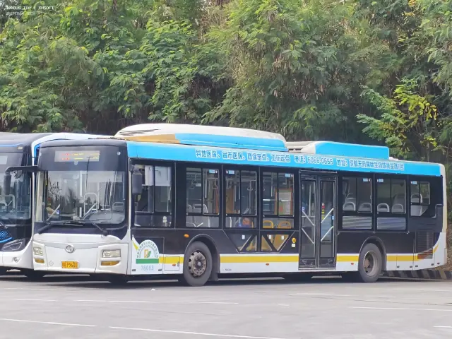 川A P9600（78003）