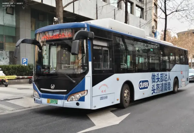 浙A08979D