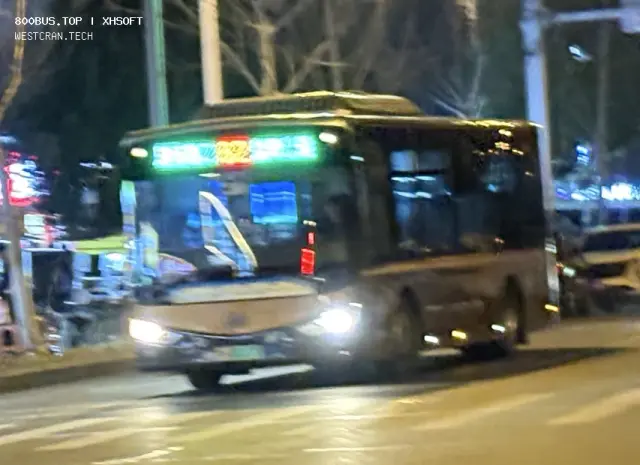 800BUS