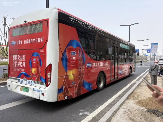 800BUS