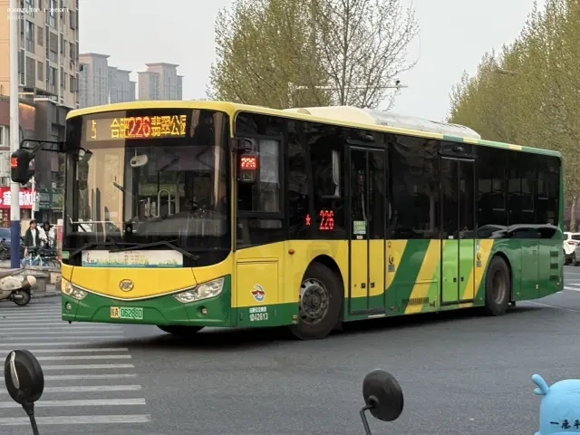 皖A 06288D