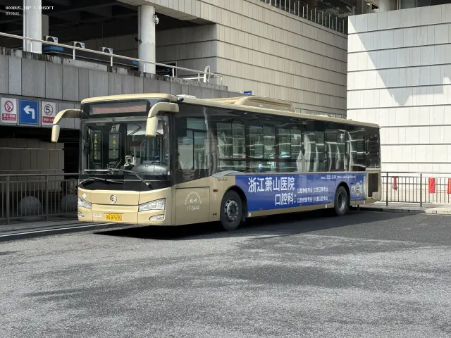 浙A 8P690