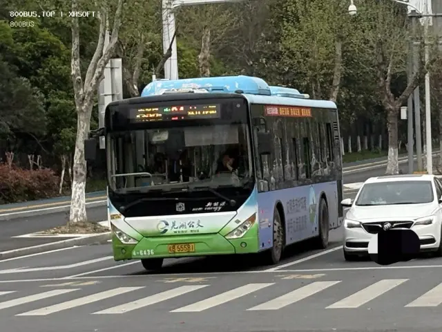 800BUS