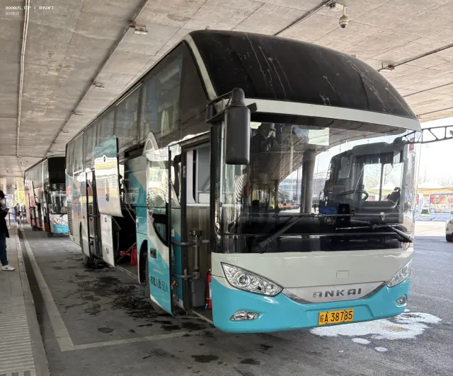 800BUS