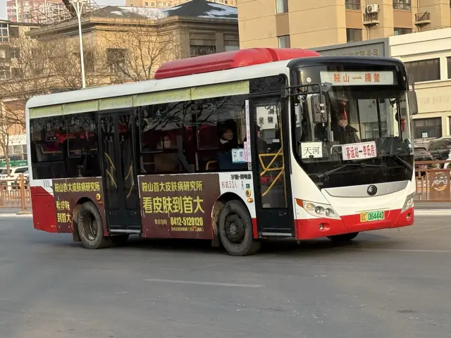 800BUS