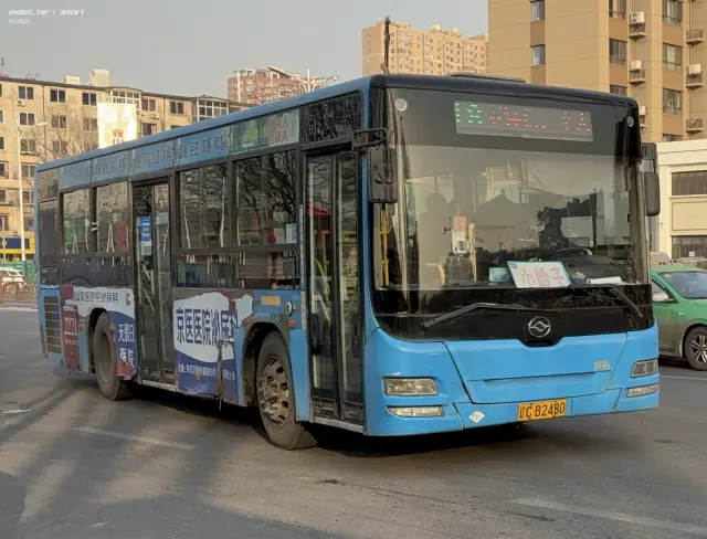 800BUS