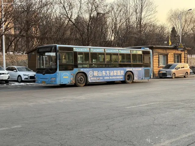 800BUS