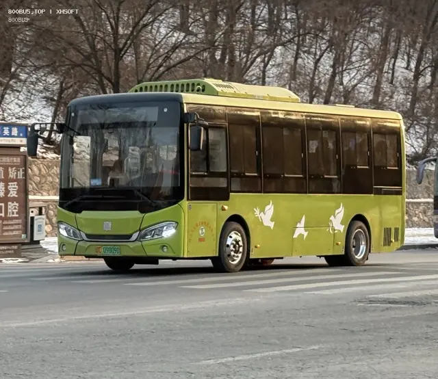 800BUS