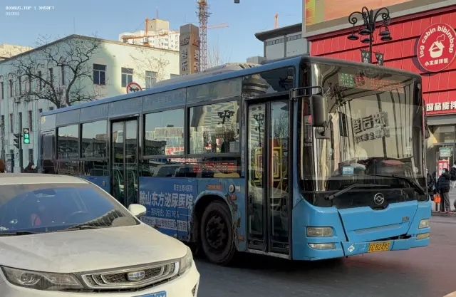 800BUS
